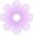 Blanche et violette