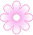 Blanche margée de rose